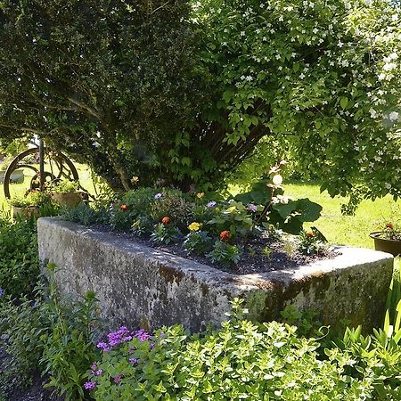 Le Vieux Noyer Bed & Breakfast Saint-Maurice-de-Tavernole Luaran gambar